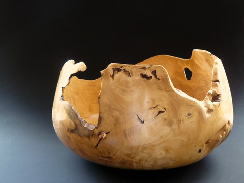 Schale_Holunder_1_gross