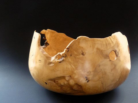 Schale_Holunder_3_gross