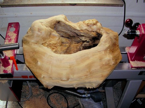 Schalenrohling_1_gross
