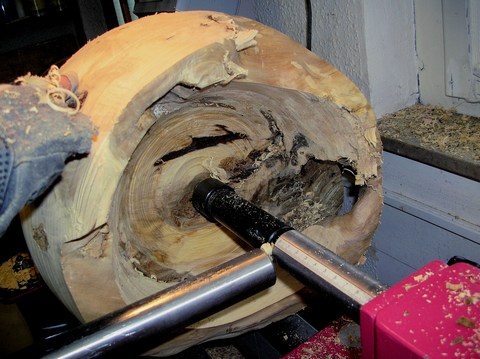 Schalenrohling_2_gross