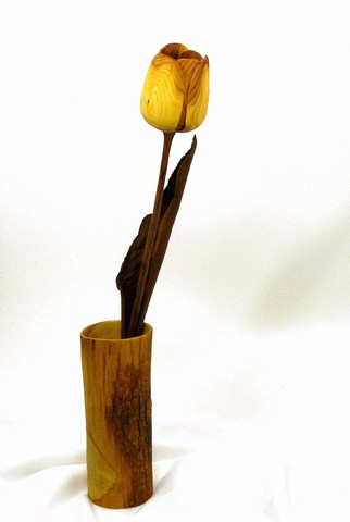 Tulpe_Eibe_2_gross