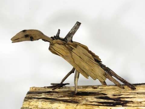 Vogel_Schwemmholz_1_klein