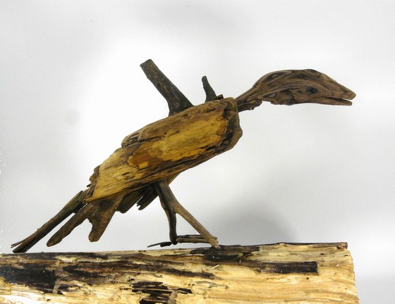 Vogel_Schwemmholz_3_gross
