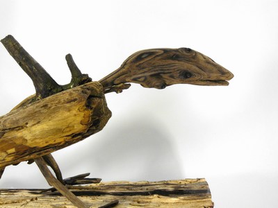 Vogel_Schwemmholz_4_gross